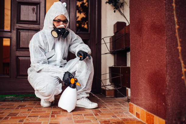 Reliable Cockroach Control contractor in Goodland, KS by Nex Pest Control